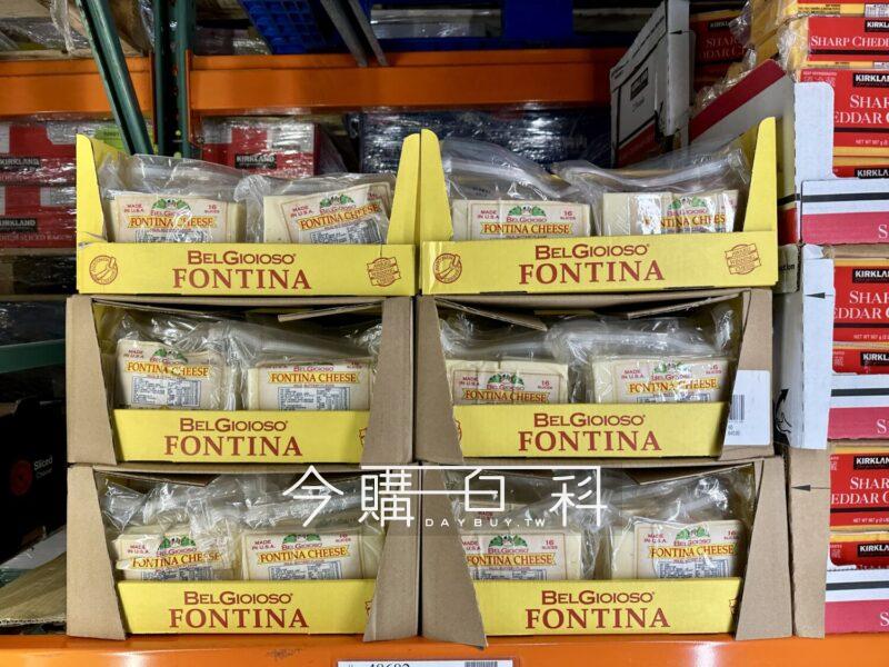 正友翁作 雲龍 Costco好市多BELGIOIOSO FONTINA 芳緹娜切片乾酪#214805 - 今購百科